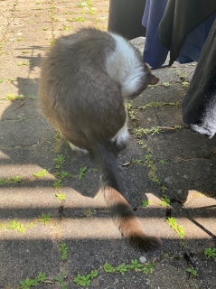 NĂOł
