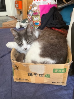 吷肨