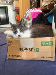 ʐ^B点Ă