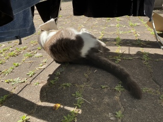 ^I艺낷