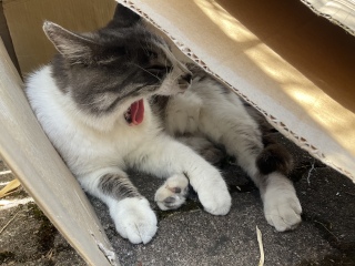 �����Ȃ�����