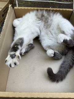 �������Ȃ��Ă�����