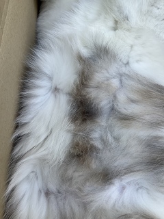 �Ƃ������Ƃ�