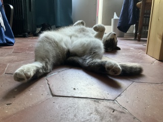 ������B���