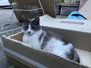 ���10���O