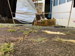 �������吷��