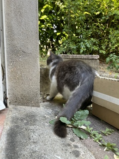 �J�T�J�T�b�I