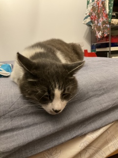 ���11����