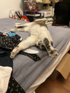 ��̂Ђ���L�΂��܂�