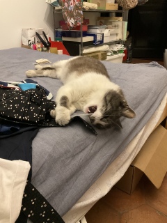 �Ȃ�ł��U�����󂯂�ܐc