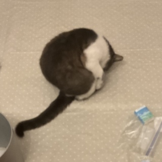 7��15��(��) �����Ȃ肨�����