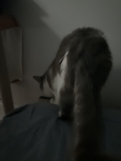 �܌���