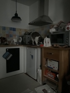 �t�B�i���V�F���_����