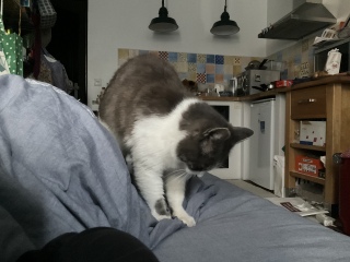 ���݂���