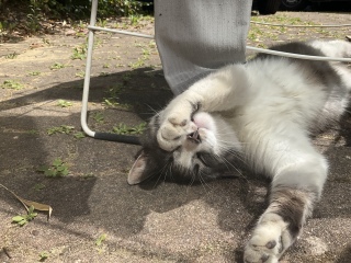 �˂ނ˂�