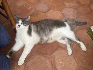 �˂ނ˂�