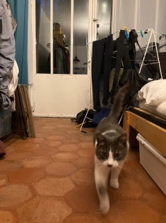 �ˁ[���ɓːi