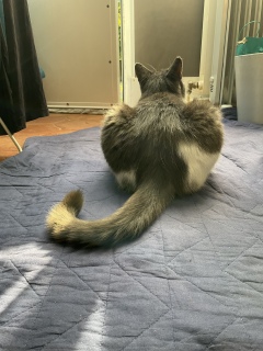 �ǂǁ[��Ƃ��K