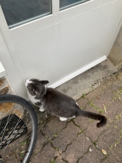 �ˁ[���Z���T�[