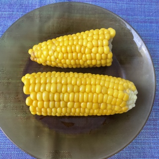 �Ƃ����낱��