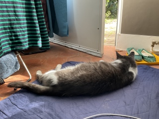 9��19��(��) �ˁ[���͂��ꂩ�炨�m�Âł�