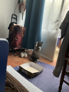 �J�[�e�������������đi����