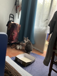 �܂��ڂői����