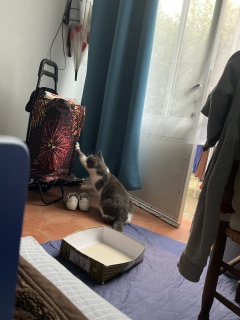 ���܎���đi����