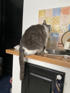 �L���̏���