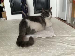 �ˁ[���͂��������o�����鎞��