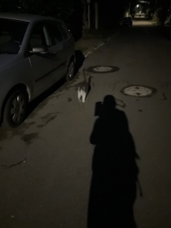 9��24��(�y) �o�}�����肪�Ƃ�