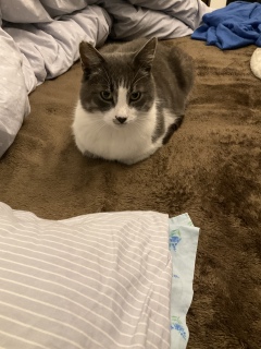 �����났