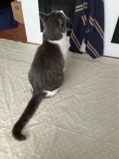 9��25��(��) �j���[��