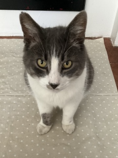 �ق�킩������������