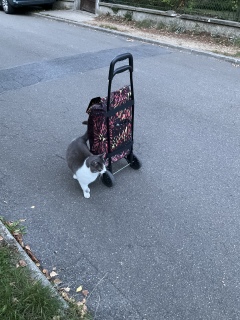 �M��Ȋ��}�͊O�����H