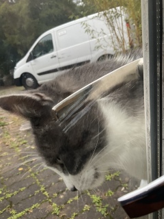 �����ɓ�����������