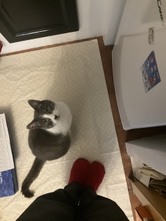 ���グ��L���