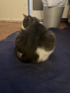 �����9����