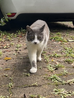 9��28��(��) ��������ĂԐ�