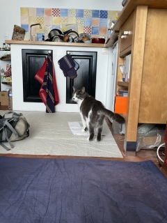 �}���V�F����A������