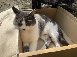 �O�̒��Q�͊������Ȃ�