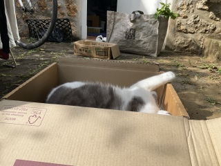 �����ނ��