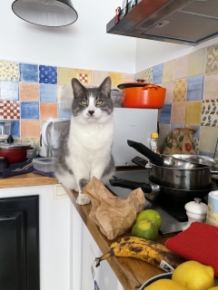 �i��������L���