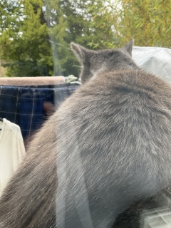 ���ӂɔL���