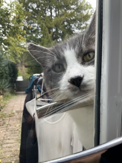 �����������ɂ��肷��