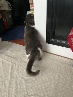 9��29��(��) ������2���o��