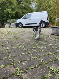 �ˁ[���͗X�֎󂯂�����