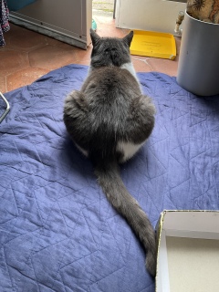 �������炨���