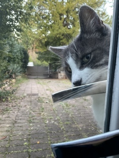 �����ɂ��肷��