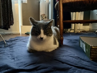 �����났�̂Ƃ���߂񂲂����